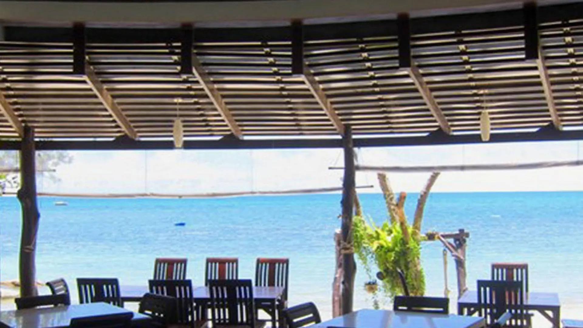 Koh Tao Regal Resort - Sha Plus